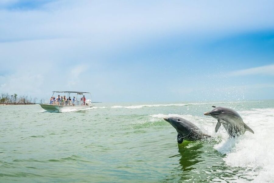 Marco Island: Dolphin-Watching Boat Tour - Goodland To Ten Thousand Islands: The Quick Setup