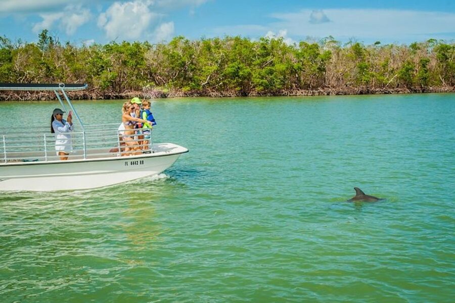 Marco Island: Dolphin-Watching Boat Tour - The Guides Make The Day: Passion Plus Comedy
