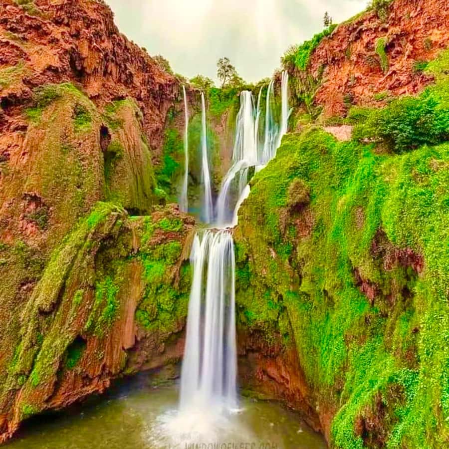 Marrakech: Ouzoud Waterfall, Guided Hike, Boat Ride & Lunch - Key points before you go