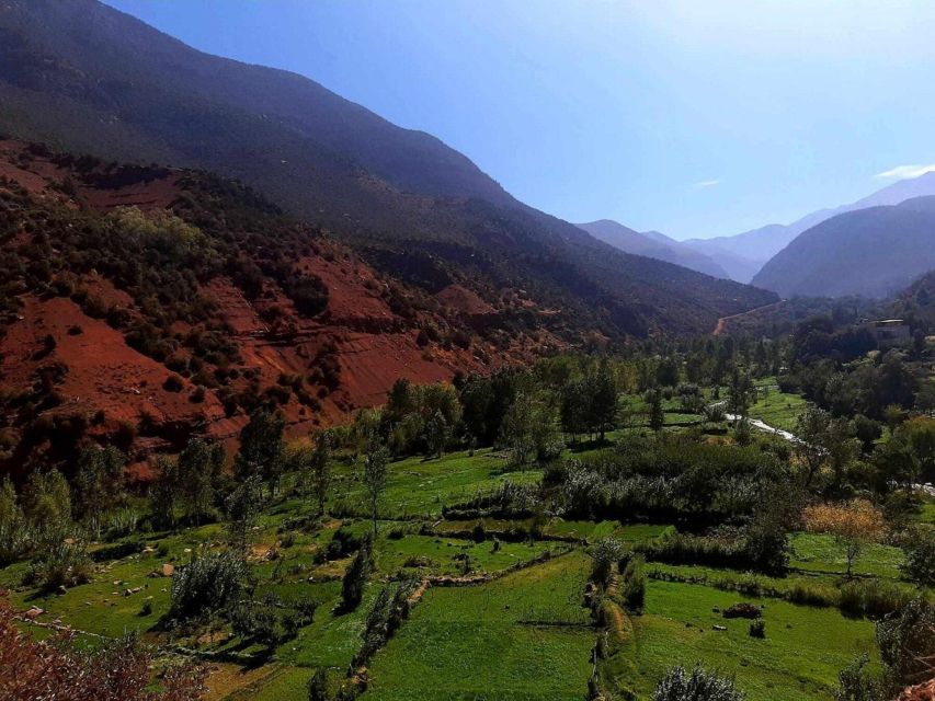 Marrakech: Ouzoud Waterfall, Guided Hike, Boat Ride & Lunch - Should you book this Marrakech to Ouzoud day trip?