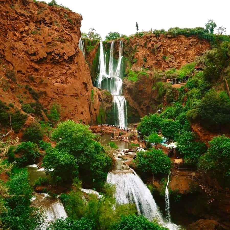 Marrakech: Ouzoud Waterfall, Guided Hike, Boat Ride & Lunch - Guided waterfall hike with monkey spotting: moderate walking, real payoffs