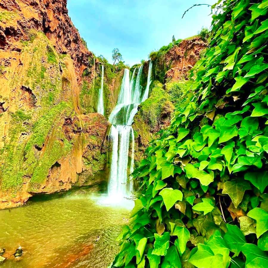 Marrakech: Ouzoud Waterfall, Guided Hike, Boat Ride & Lunch - Berber lunch by the falls: the meal is part of the scenery
