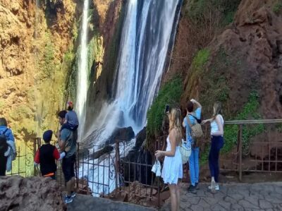 Marrakech to Ouzoud waterfalls day tour - Guide & boat ride - The local touch: bilingual driver and an Ouzoud guide