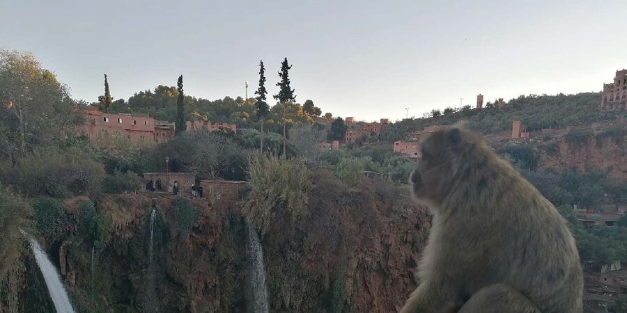 Marrakech to Ouzoud waterfalls day tour - Guide & boat ride - Who should book this tour, and who should skip it
