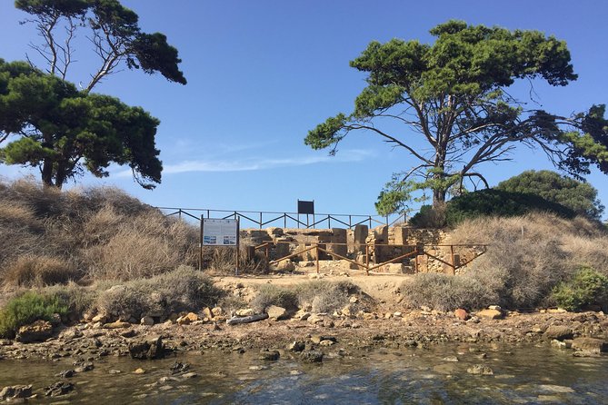 Marsala Salt Pans and Mothia Island Boat Tour - Stop 3: Wine tasting plus local bites in the salt-pans setting