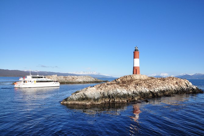 Martillo Island: Boat Trip to the Penguin Colony & Beagle Channel - Martillo Island penguins, seen the sensible way from the catamaran