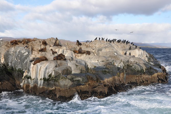 Martillo Island: Boat Trip to the Penguin Colony & Beagle Channel - Beagle Channel highlights before Martillo Island: the long scenic build-up