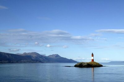 Martillo Island: Boat Trip to the Penguin Colony & Beagle Channel - Getting to the boat: when to arrive and what to expect at the port