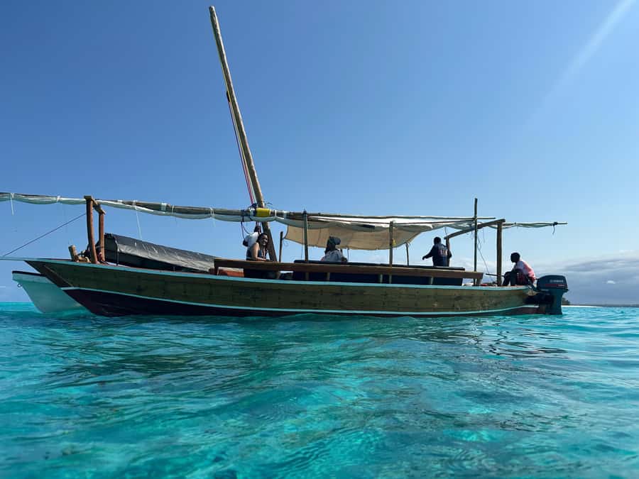 Matemwe: Mnemba Island Dolphin & Snorkeling Boat Trip - Mnemba Island Dolphin & Snorkeling from Matemwe: the day in plain terms