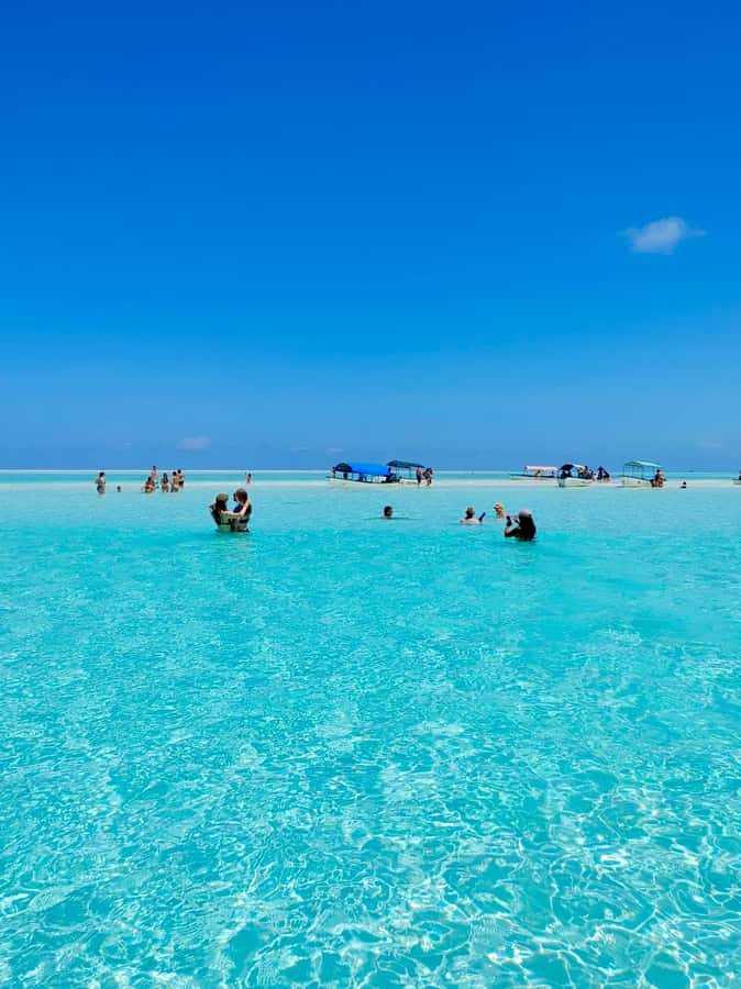 Matemwe: Mnemba Island Dolphin & Snorkeling Boat Trip - The boat route: why the ride matters as much as the snorkel