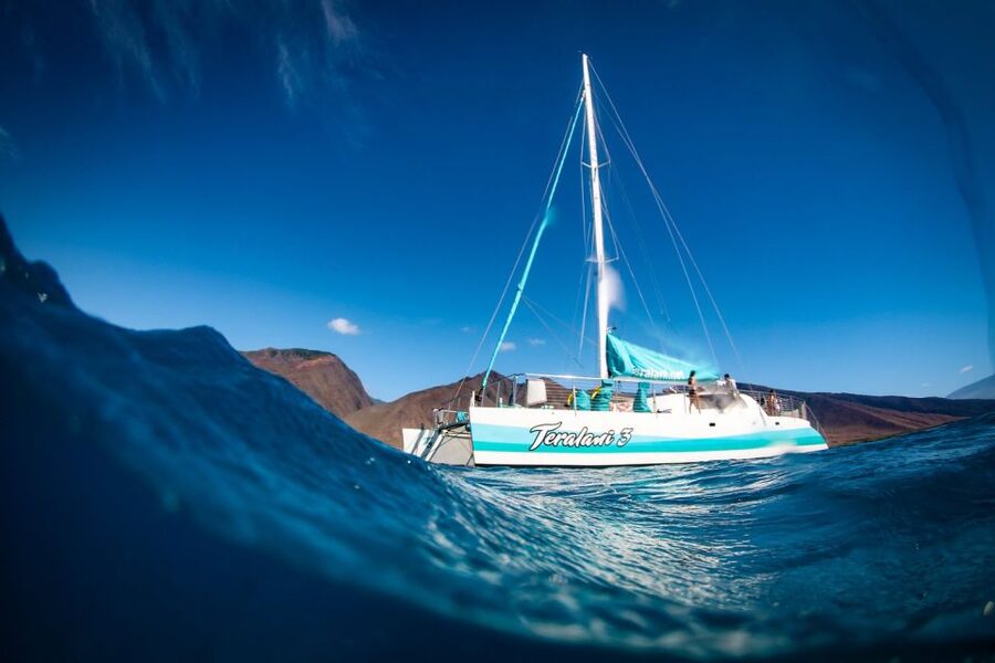 Maui: Kaanapali Dolphin Watching Boat Trip with Lunch - Oceanfront Luxury That Starts Right at the Beach