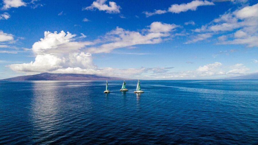 Maui: Kaanapali Dolphin Watching Boat Trip with Lunch - Is It Worth $139? The Value Math That Actually Matters