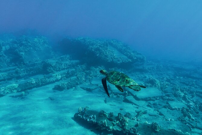 Maui Snorkeling Boat Tour to Turtle Town Aboard Quicksilver - Turtle Town from Ma‘alaea: the cruise format that makes it easy