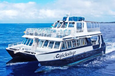 Maui Snorkeling Boat Tour to Turtle Town Aboard Quicksilver - The double-decker catamaran: waterslide, jumping platform, and real shade
