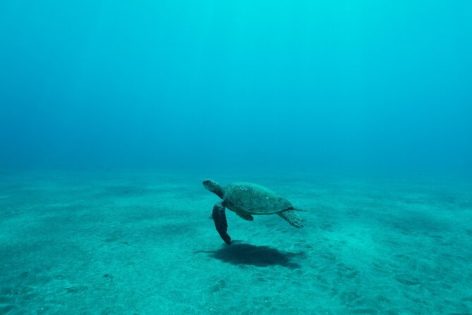 Maui Snorkeling Boat Tour to Turtle Town Aboard Quicksilver - Stop 1: Makena Landing Park as part of the ocean ride