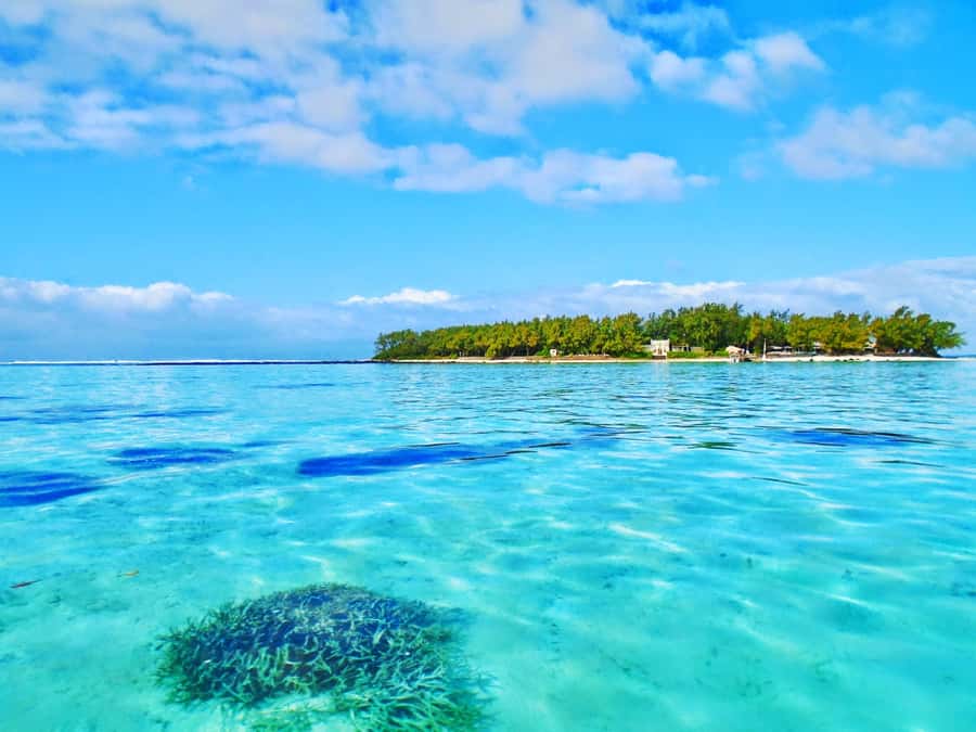Mauritius: Ile aux Aigrettes Nature Reserve with Boat Ride - Blue Bay Beach: White Sand and a Real Swimming Break
