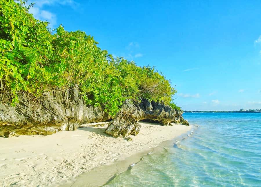 Mauritius: Ile aux Aigrettes Nature Reserve with Boat Ride - The Hike That Feels Like Learning, Not Just Walking