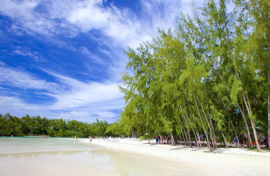 Mauritius: Ile aux Cerfs Boat Tour with BBQ Lunch and Drinks - Ile aux Margenie BBQ: the lunch you’ll remember (plus drinks)