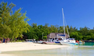Mauritius: Ile aux Cerfs Boat Tour with BBQ Lunch and Drinks - Cascade Diamamouve waterfall stop: close views and monkey spotting
