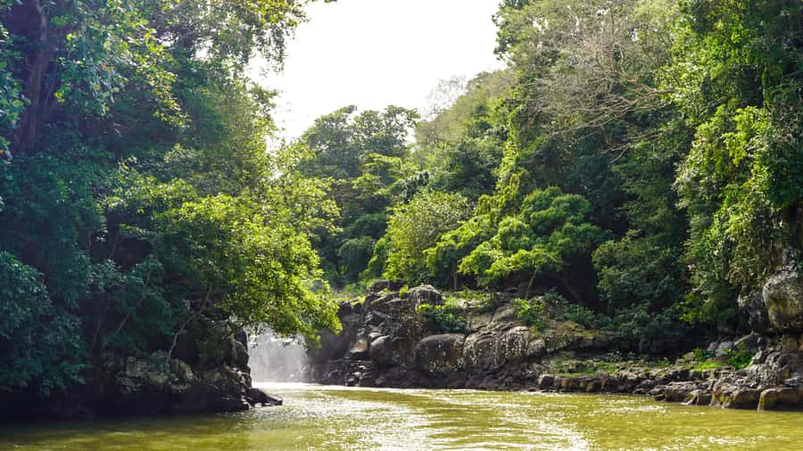 Mauritius: Ile aux Cerfs Boat Tour with BBQ Lunch and Drinks - Who this tour is best for (and who should skip)