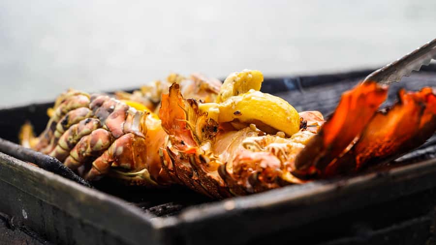 Mauritius: Ile aux Cerfs Boat Tour with BBQ Lunch and Drinks - FAQ
