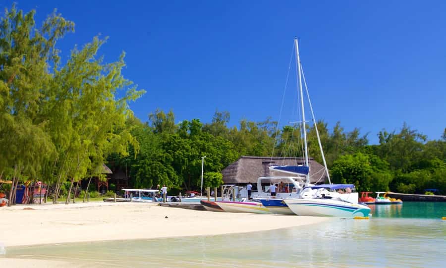 Mauritius: Ile aux Cerfs Boat Tour with BBQ Lunch and Drinks - Cascade Diamamouve waterfall stop: close views and monkey spotting