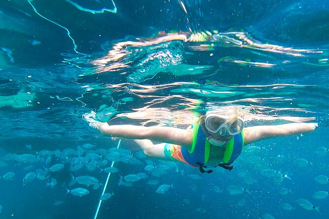 Meet the Sea: Family Boat trip to Conillera island - Key highlights you should know