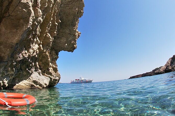 Meet the Sea: Family Boat trip to Conillera island - The onboard presentation: learn what you’re likely to spot