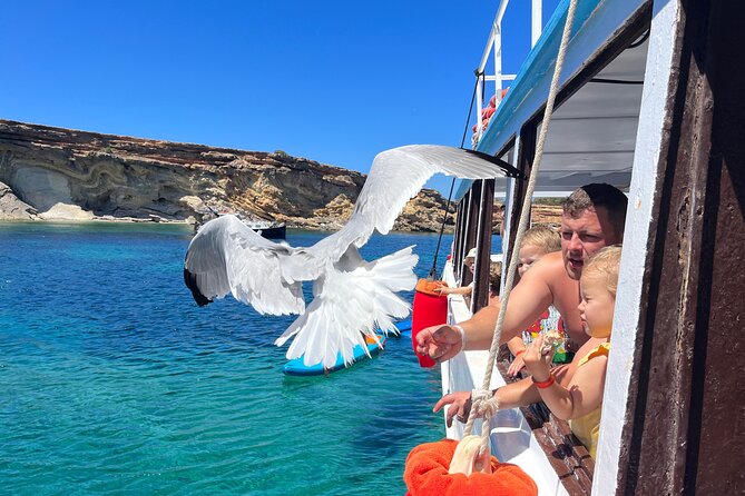 Meet the Sea: Family Boat trip to Conillera island - Free paddle surfing and deck time that doesn’t feel like downtime