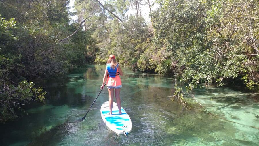 Miami: Biscayne Bay Ultimate Boat Tour with Kayak Experience - Starting at Venetian Marina: smooth, central, and easy to find