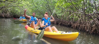 Miami: Biscayne Bay Ultimate Boat Tour with Kayak Experience - The boat cruise: dolphins and manatees with real local context