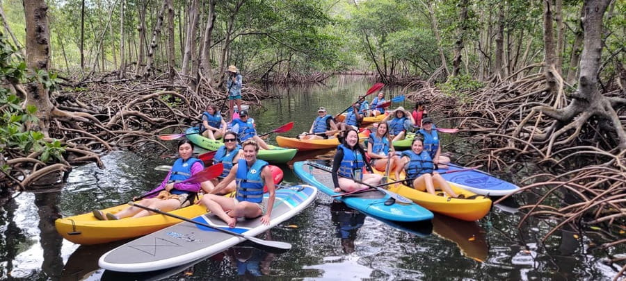 Miami: Biscayne Bay Ultimate Boat Tour with Kayak Experience - Switching to a kayak: mangrove tunnels are the main event
