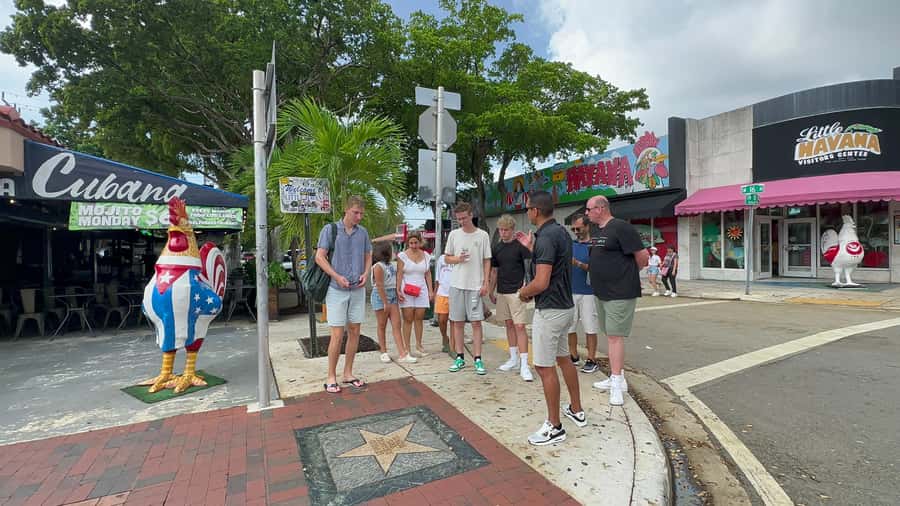 Miami: City Sightseeing and millionaire row boat tour - Little Havana on Calle Ocho: cigars, coffee tasting, Domino Park, and Cuban music