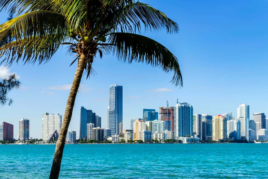 Miami: Guided City Tour and Boat Ride - Little Havana stop: a lunch break plus Cuban coffee fuel