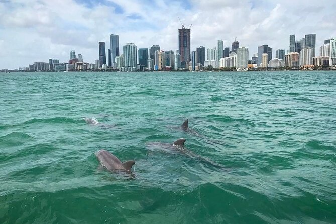 Miami Small Group Boat Tour: History, Wildlife, and Stiltsville - From Miami Beach Marina to Port Miami: Skyscrapers, Corals, and Cargo-Ship Scale