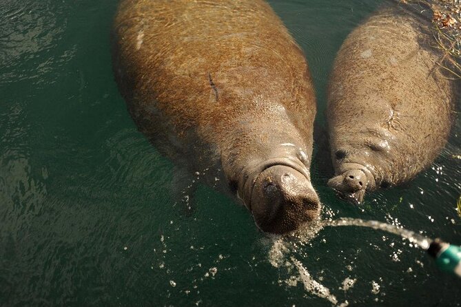 Miami Small Group Boat Tour: History, Wildlife, and Stiltsville - Biscayne National Park Water-Time: Wildlife Spotting With Real Guidance