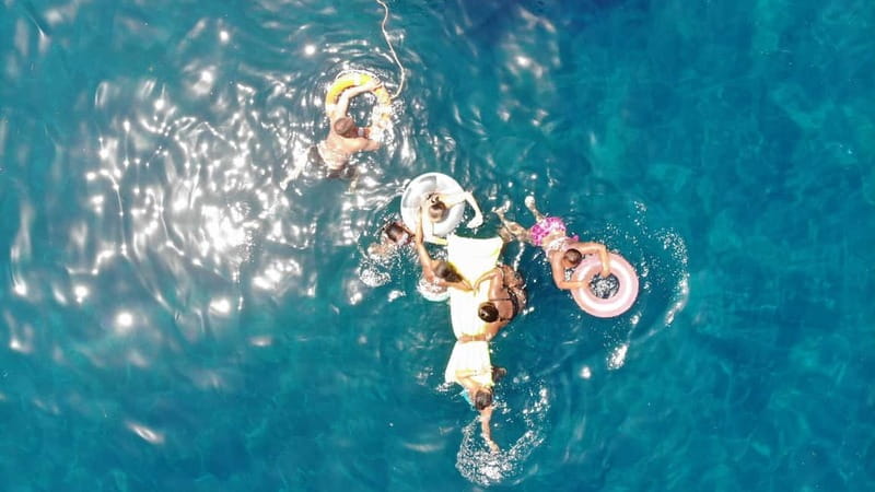 Mogan: Dolphin Watching Boat Trip with Swim Stop - Key things to know before you go