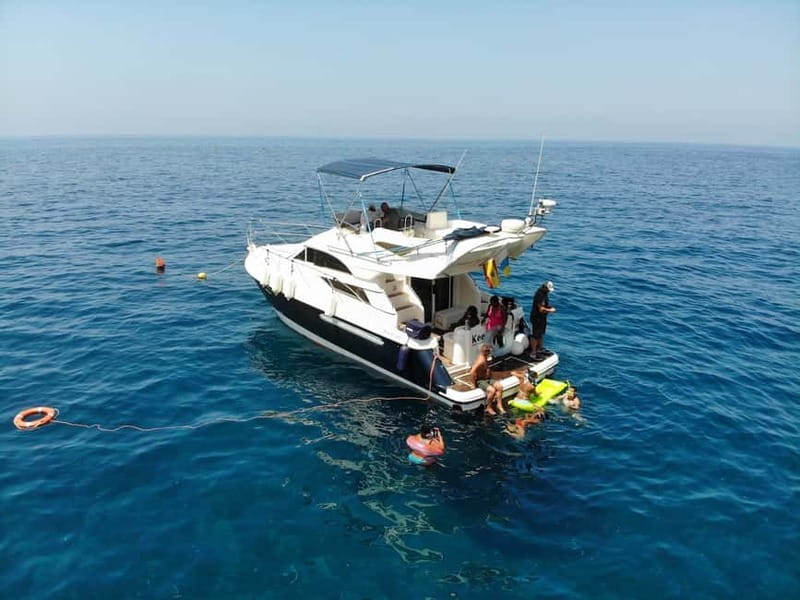 Mogan: Dolphin Watching Boat Trip with Swim Stop - How the 4 hours usually flow from Puerto de Mogán