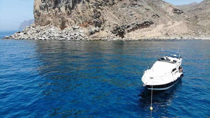 Mogan: Dolphin Watching Boat Trip with Swim Stop - Dolphin search along Gran Canaria’s southwest coast: what you’re really aiming for