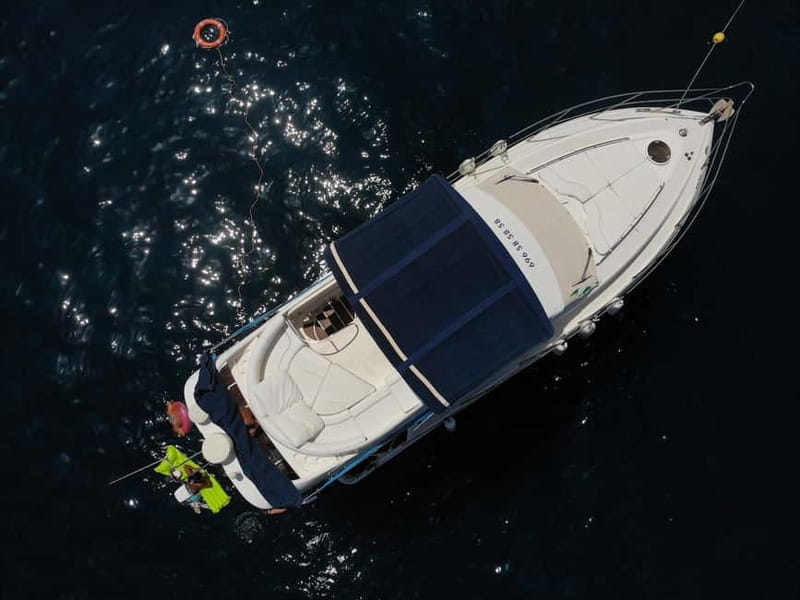 Mogan: Dolphin Watching Boat Trip with Swim Stop - The swim/snorkel cove stop: clear water, gear included, follow crew rules