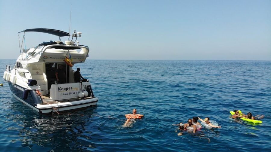 Mogan: Dolphin Watching Boat Trip with Swim Stop - Price and value: is $100 a fair deal?