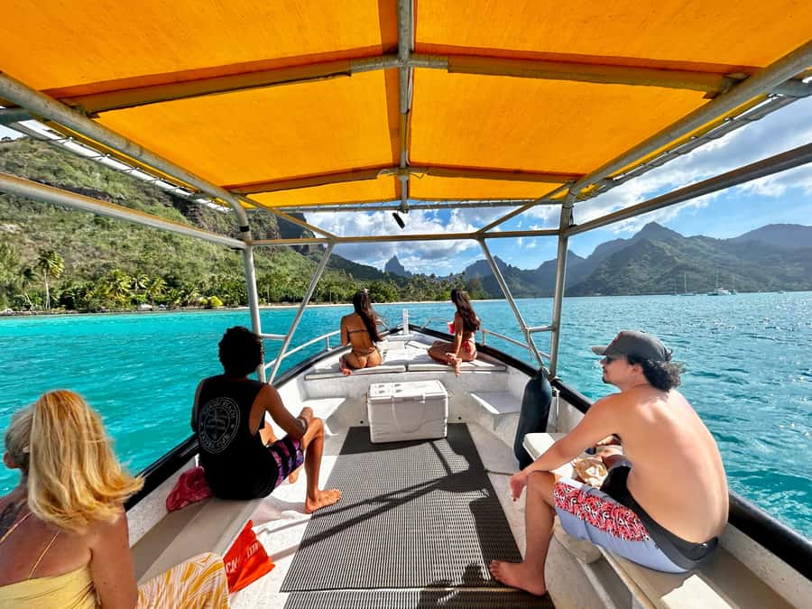 Moorea 4H Shared Boat Tour Whale Swimming and Snorkeling - Key highlights you’ll actually care about