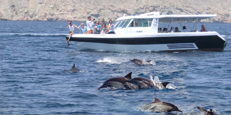 Muscat: Dolphin Watching Boat Tour - Why This Muscat Dolphin Tour Works: Short, Focused, and Sea-First