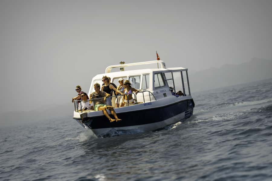 Muscat: Dolphin Watching Boat Trip with Snacks & Local Guide - Key things that make this Muscat trip worth your time