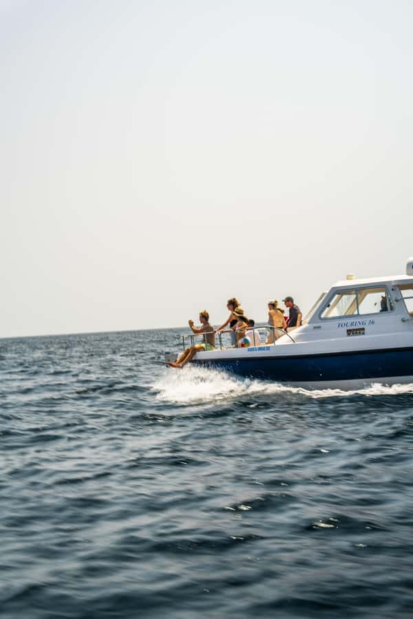 Muscat: Dolphin Watching Boat Trip with Snacks & Local Guide - Arch Rock and Bustan Palace: why the route matters even when you’re not filming dolphins