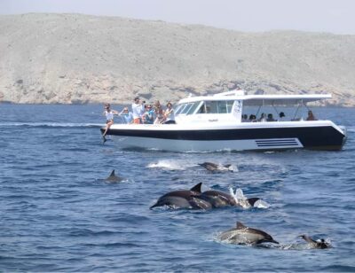 Muscat: Dolphin Watching Boat Trip with Snacks & Local Guide - On the water: what the dolphin-watching part feels like