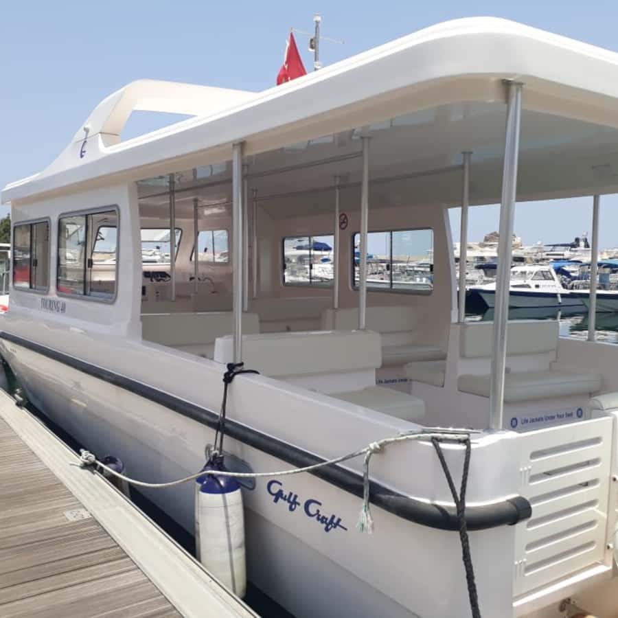 Muscat: Dolphin Watching Boat Trip with Snacks & Local Guide - Price and value: is $60 for 2 hours a fair deal in Muscat?