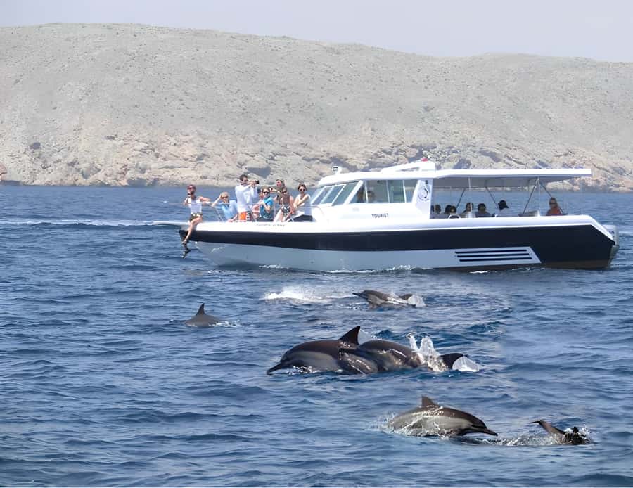 Muscat: Dolphin Watching Boat Trip with Snacks & Local Guide - On the water: what the dolphin-watching part feels like