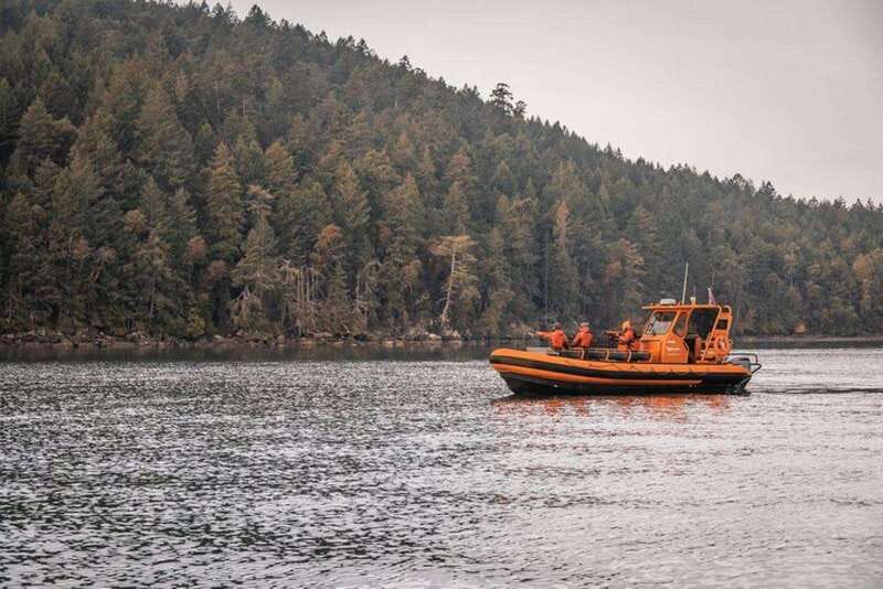 Nanaimo: Whale Watching Open Boat Tour - Key things that make this tour worth your time