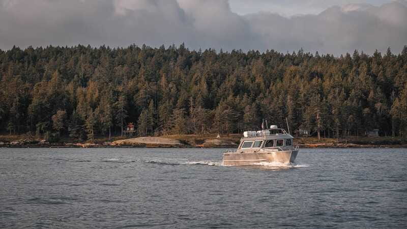 Nanaimo: Whale Watching Semi-Covered Boat Tour - One hour of whale viewing: how sightings are handled onboard